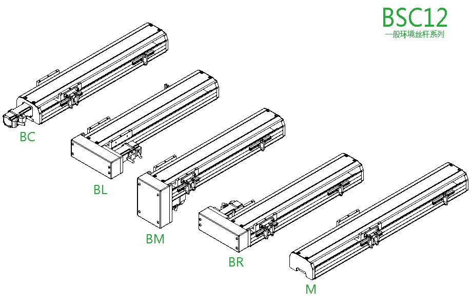 bsc12